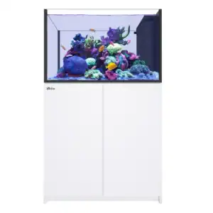 Red Sea REEFER Peninsula 350 G3 in White 73 Gallons