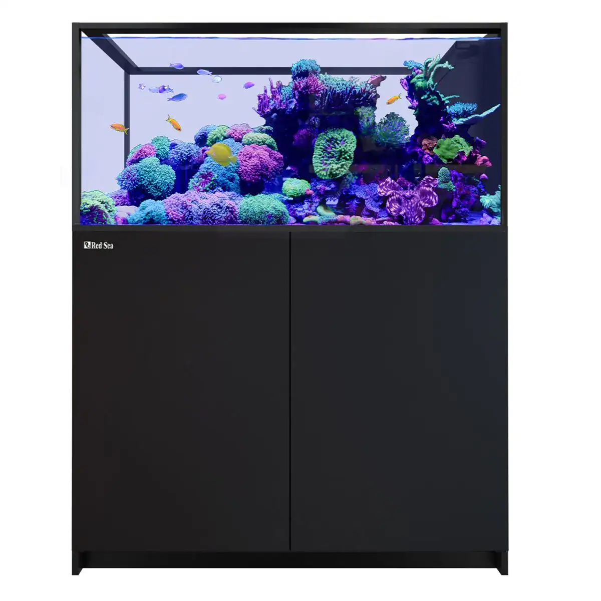 Red Sea REEFER Peninsula 500 G3 Black 109 gallon aquarium with clean black cabinet