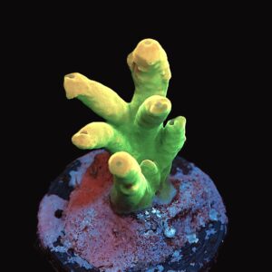 SDC Acro Moons of Jupitr Cult