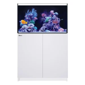 REEFER 250 G3 White 65 gallon reef aquarium with sump and ReefATO+ included