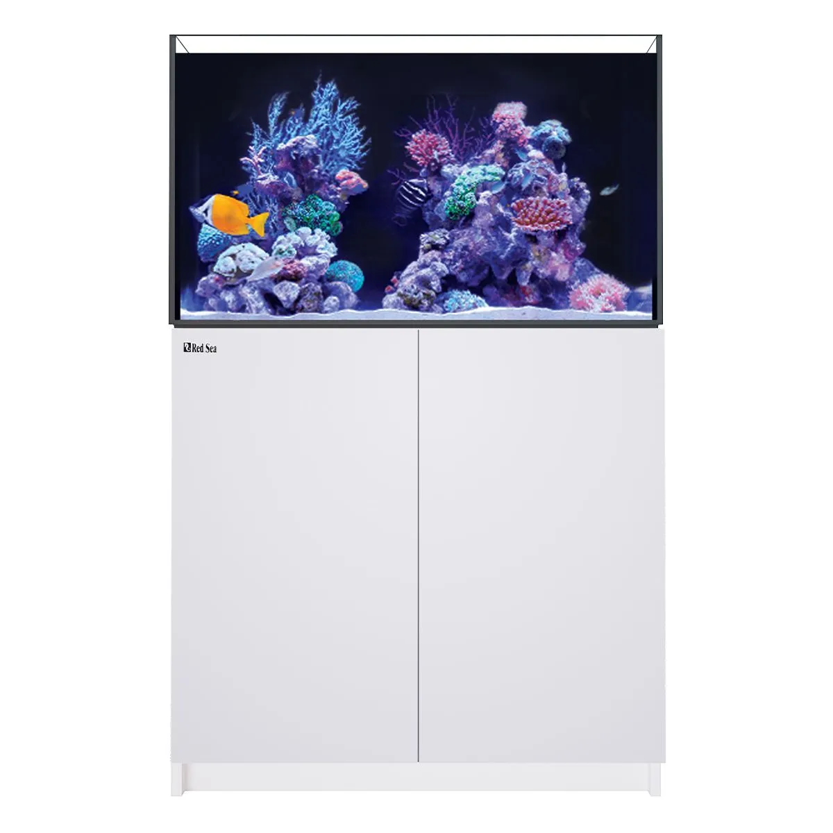 REEFER 250 G3 White 65 gallon reef aquarium with sump and ReefATO+ included