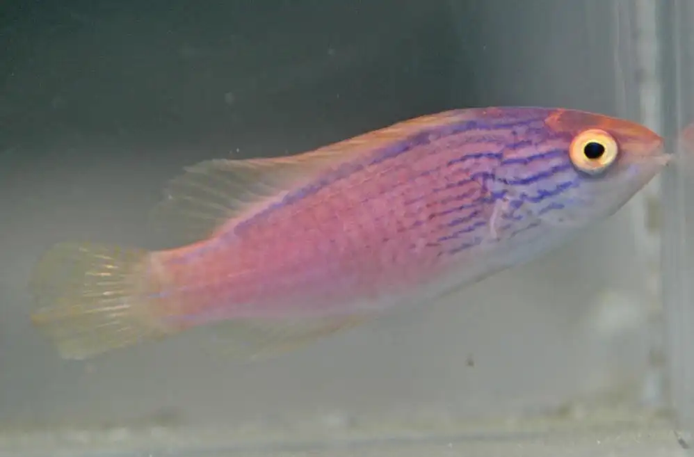 DO NOT USE. USE SIZES