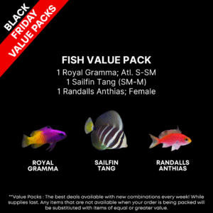 AAA: FISH Value Pack