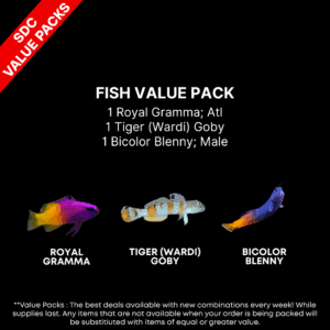 AAA: FISH Value Pack 1