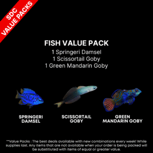 AAA: FISH Value Pack 2
