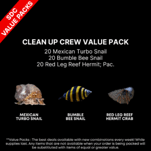 AAA: Clean Up Crew Value Pk2