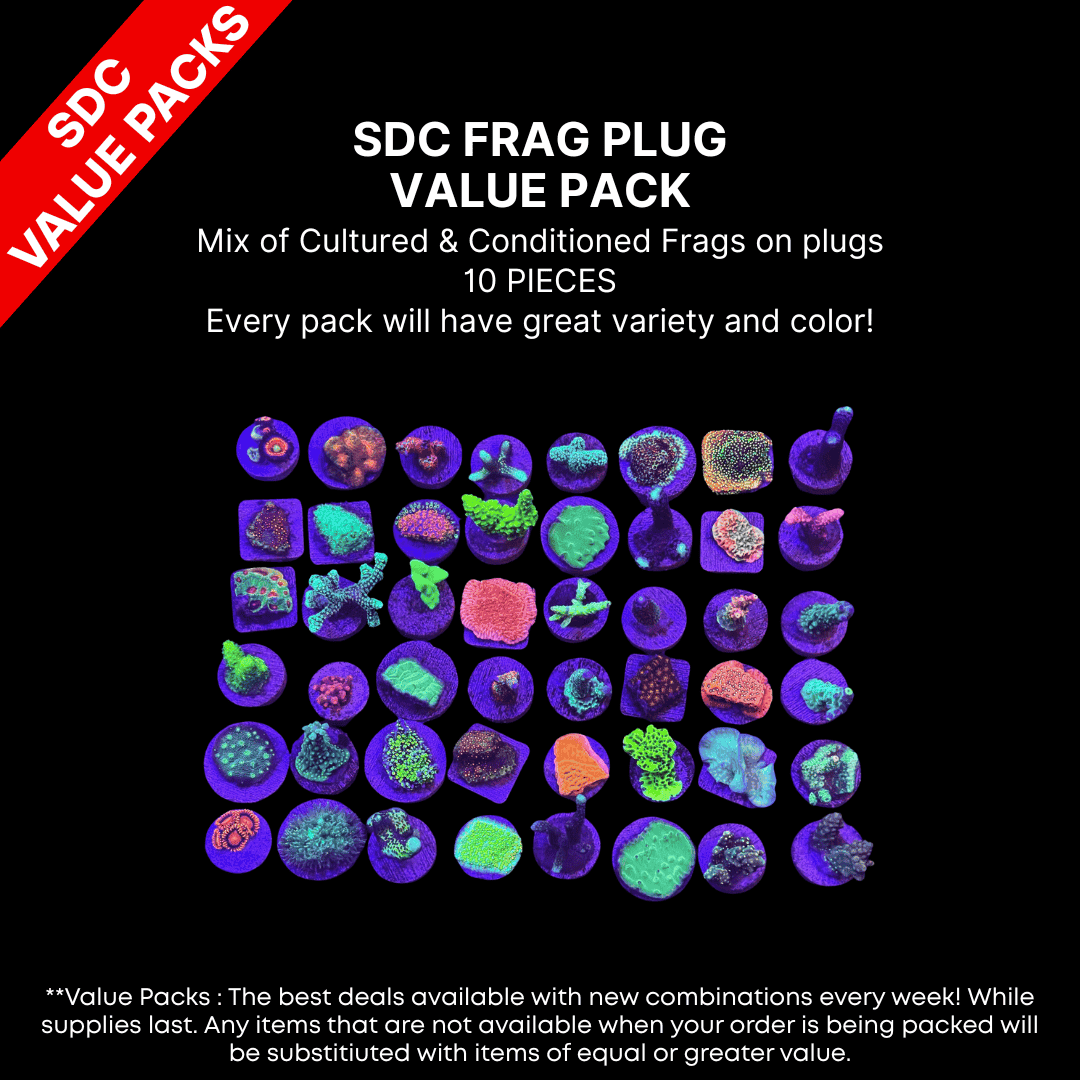 AAA: SDC Frag Plug Value Pk2