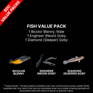 AAA: FISH Value Pack 1