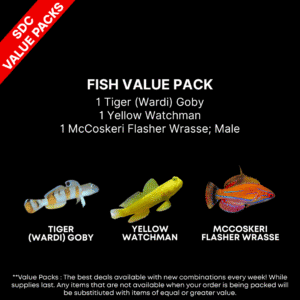 AAA: FISH Value Pack 1