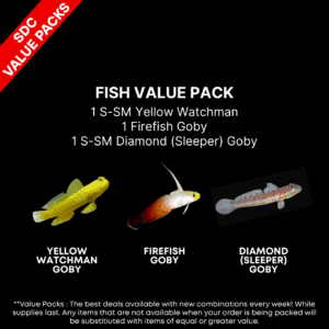 AAA: FISH Value Pack 1
