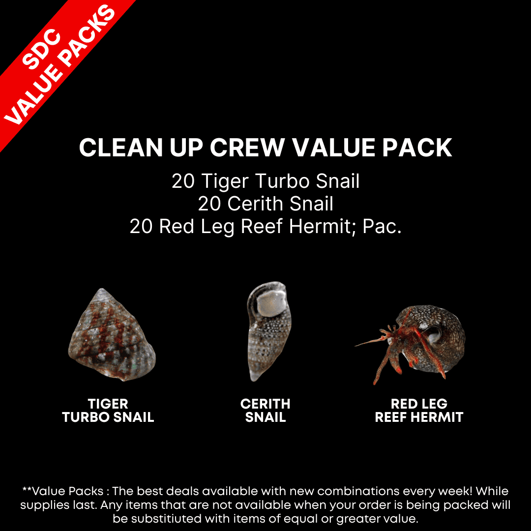 AAA: Clean Up Crew Value Pk 1