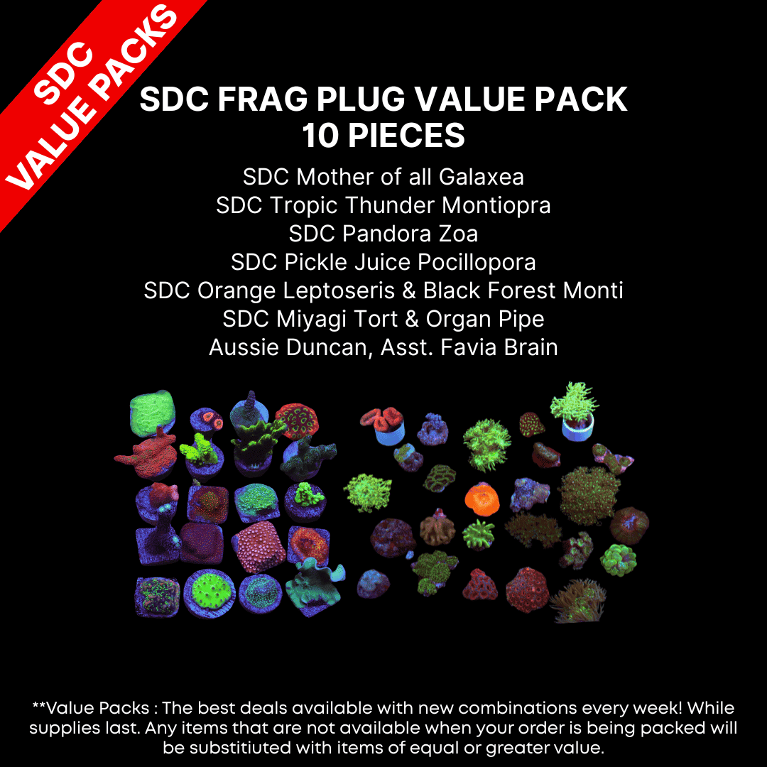 AAA: SDC Frag Plug Value Pk 1
