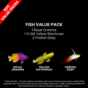 AAA: FISH Value Pack