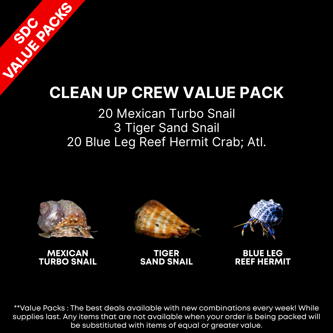AAA: Clean Up Crew Value Pack