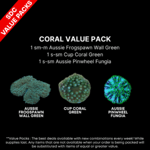 AAA: Coral Value Pack