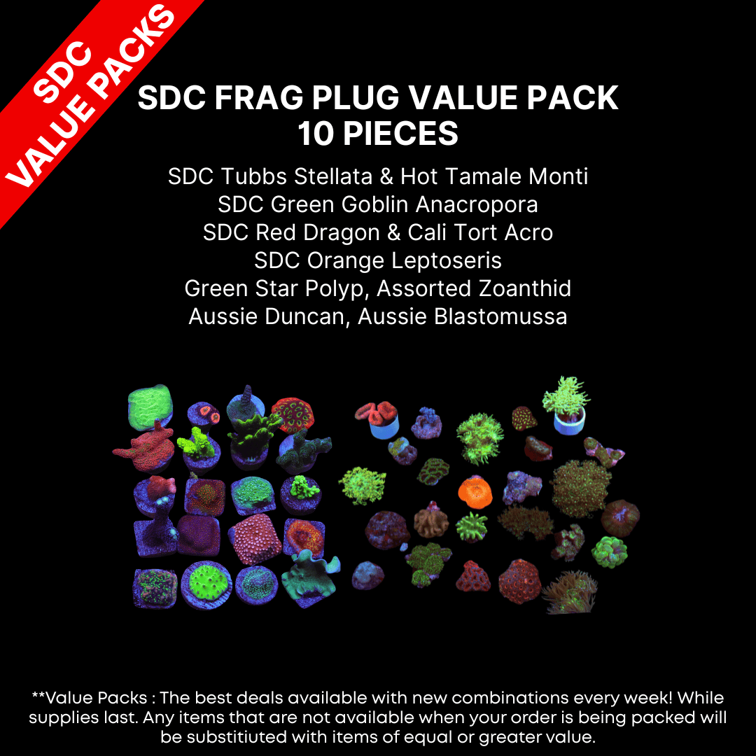 AAA: SDC Frag Plug Value Pack