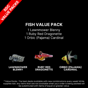AAA: FISH Value Pack
