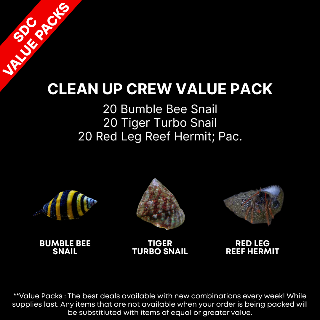 AAA: Clean Up Crew Value Pack