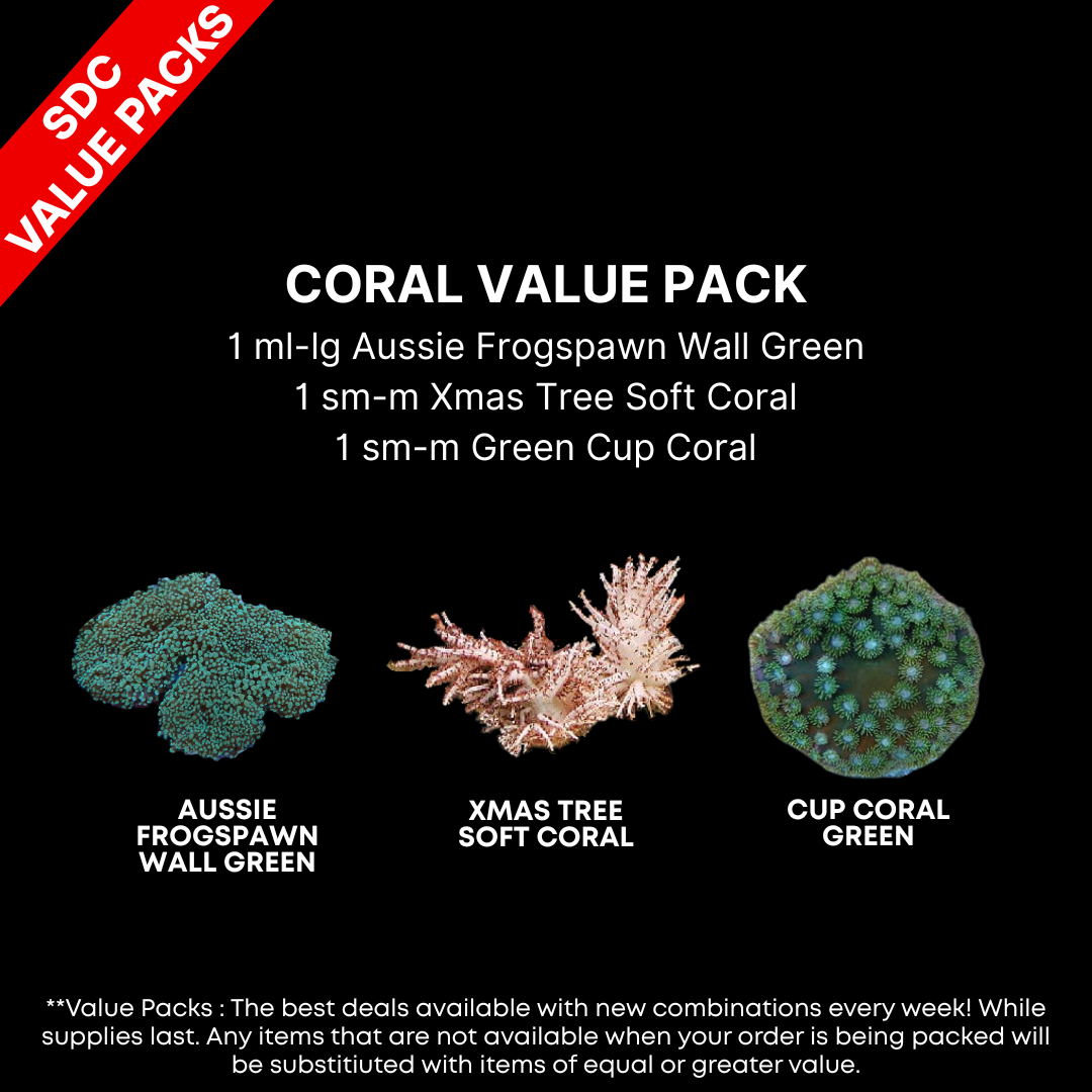 AAA: Coral Value Pack