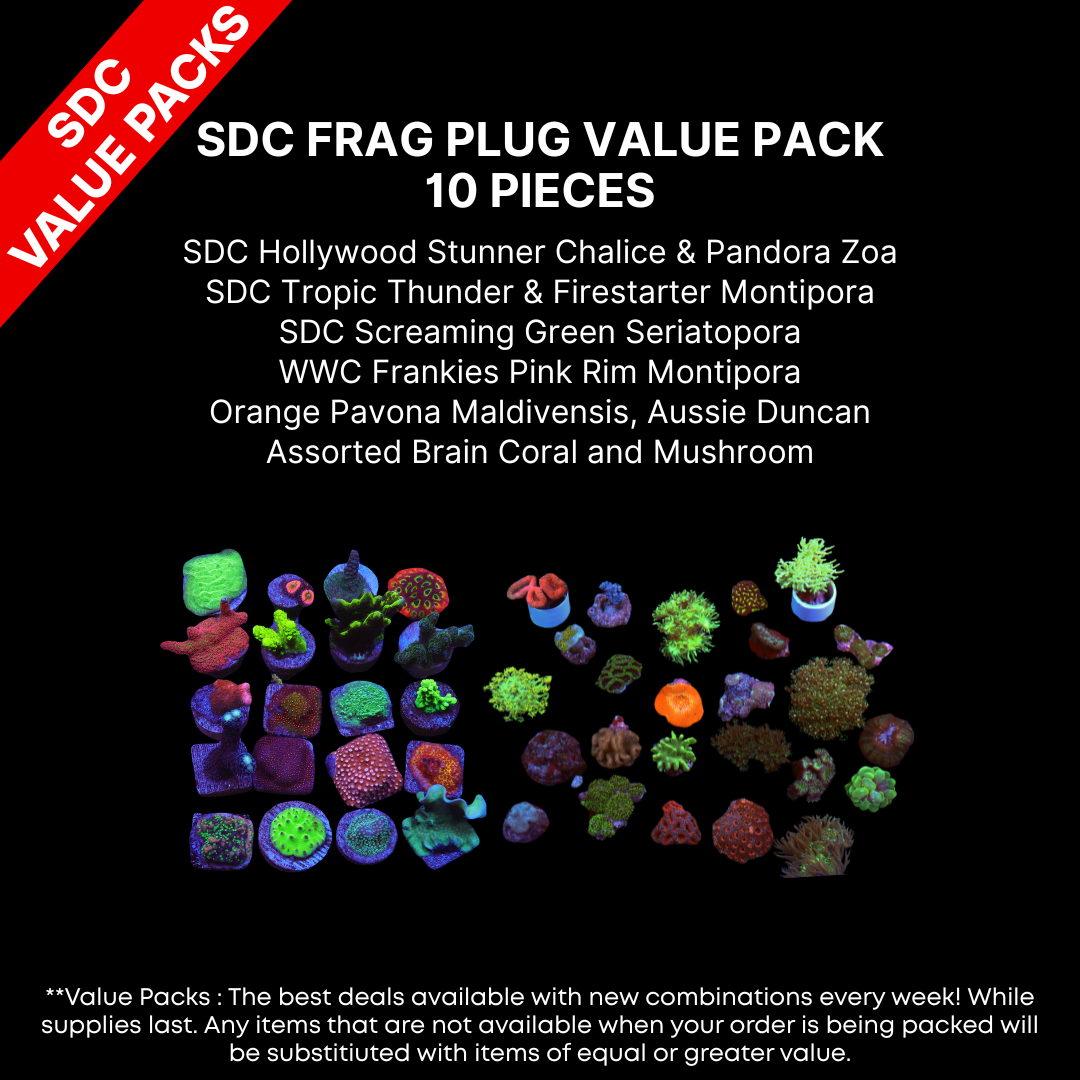 AAA: SDC Frag Plug Value Pack