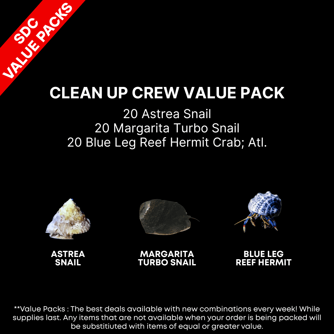 AAA: Clean Up Crew Value Pack
