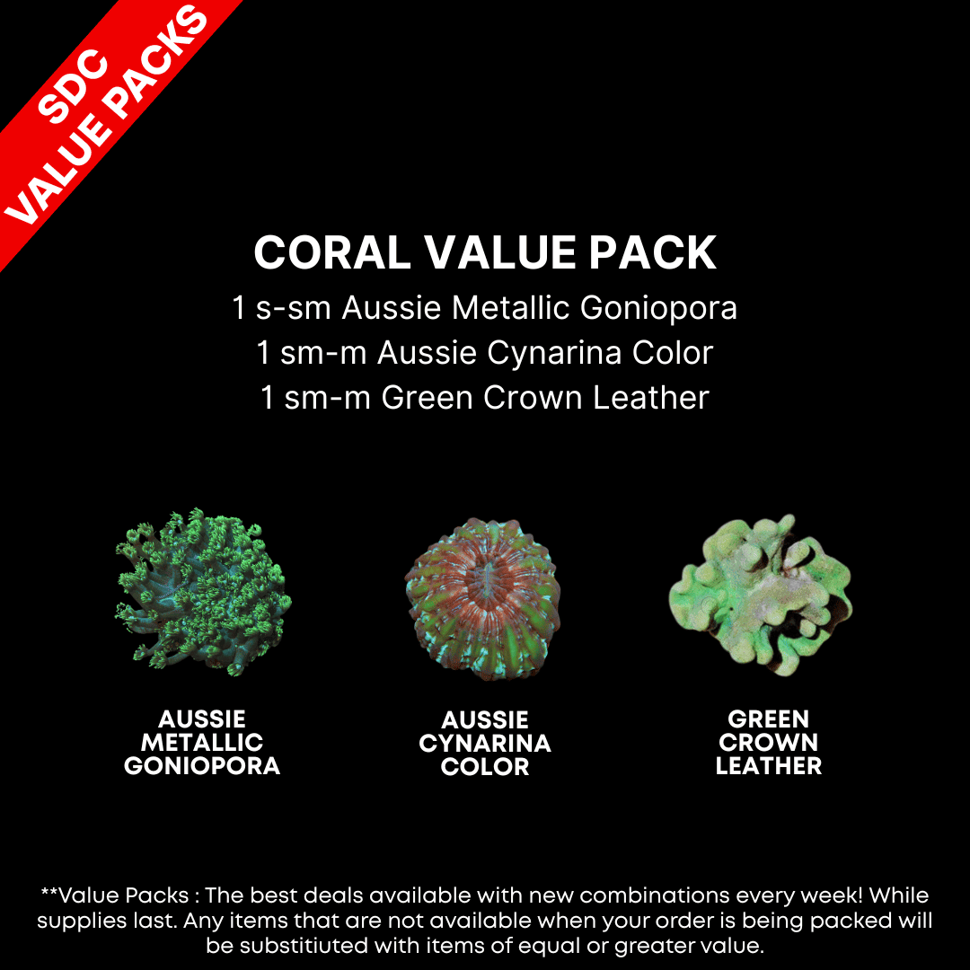 AAA: Coral Value Pack