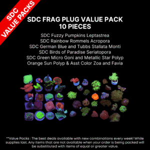 AAA: SDC Frag Plug Value Pack