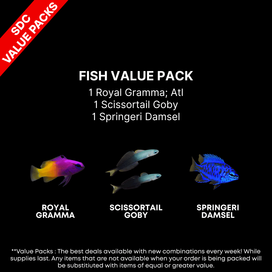 AAA: FISH Value Pack