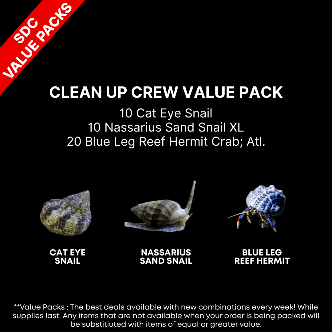 AAA: Clean Up Crew Value Pack