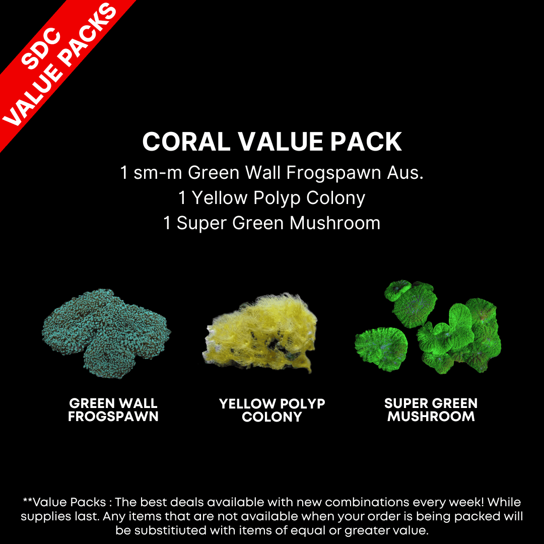 AAA: Coral Value Pack