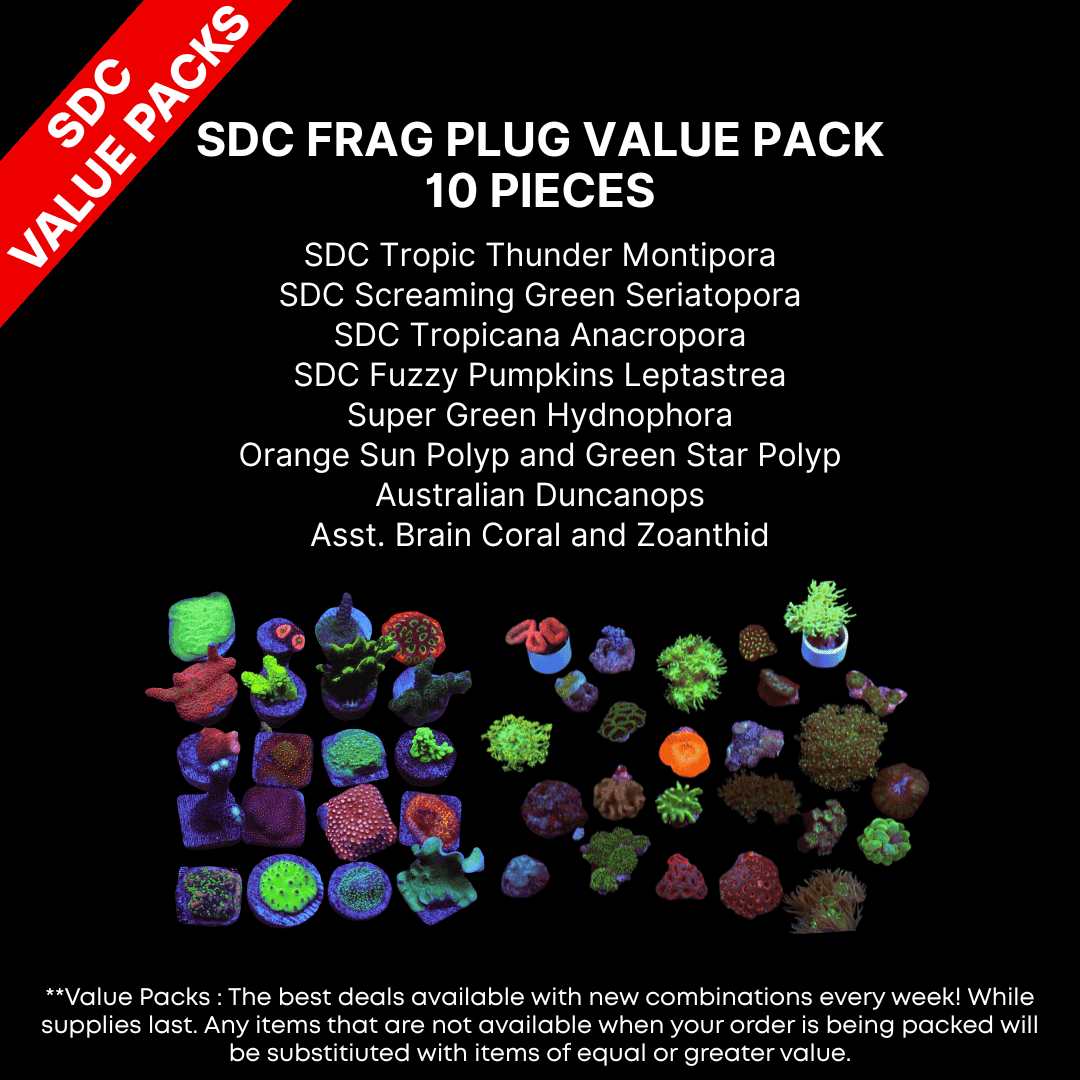 AAA: SDC Frag Plug Value Pack