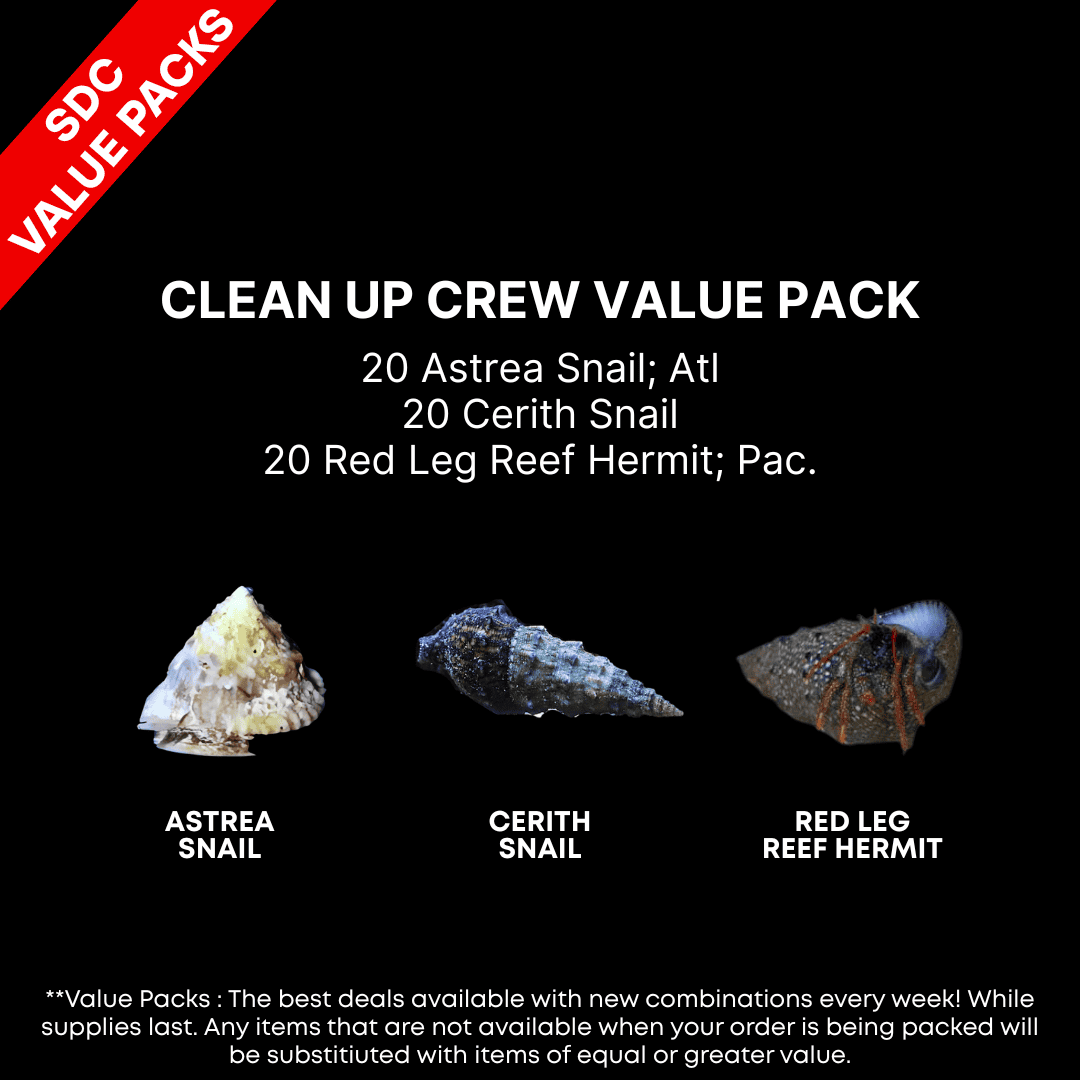 AAA: Clean Up Crew Value Pack