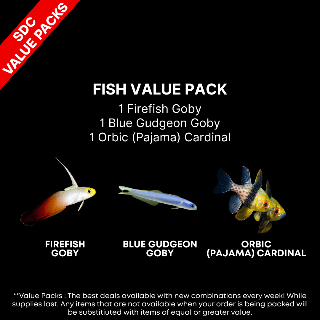 AAA: FISH Value Pack