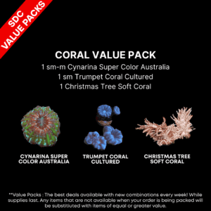 AAA: Coral Value Pack