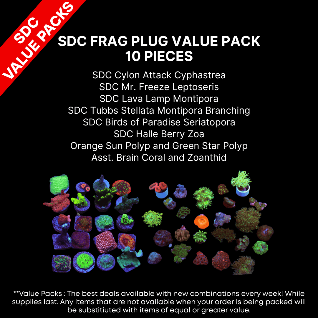 AAA: SDC Frag Plug Value Pack