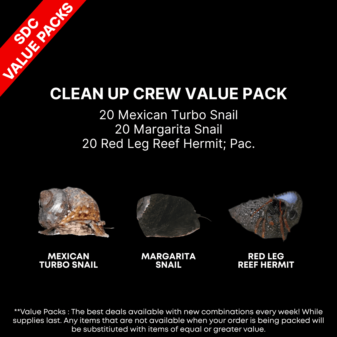 AAA: Clean Up Crew Value Pack