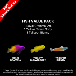 AAA: FISH Value Pack