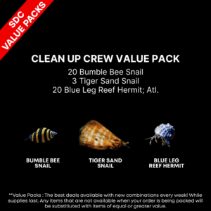 AAA: Clean Up Crew Value Pack